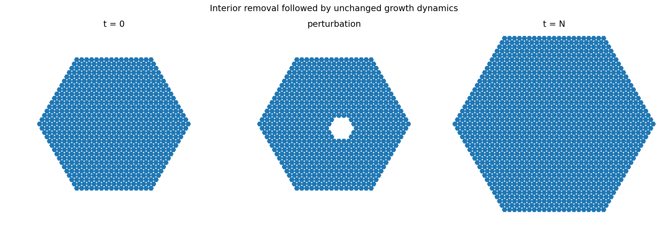 The digital crystal before perturbation, immediately after an interior region is removed, and several generations later.