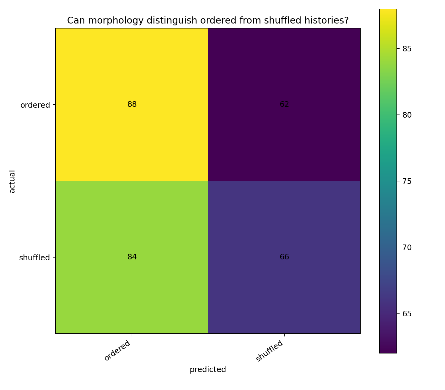 Confusion matrix for classifying ordered versus shuffled signal histories from final Digital Crystal morphology.