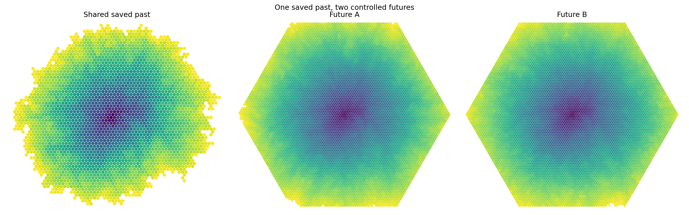 One saved Digital Crystal checkpoint shown beside two different final morphologies generated from different prescribed future forcing.